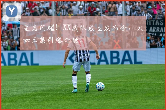 星光闪耀！XX战队成立发布会，大咖云集引爆全场！