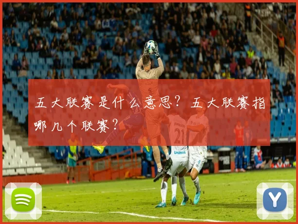 五大联赛是什么意思？五大联赛指哪几个联赛？
